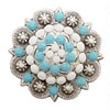 Conchos