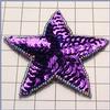 Sequin Appliques